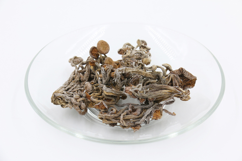 礼盒装食用菌