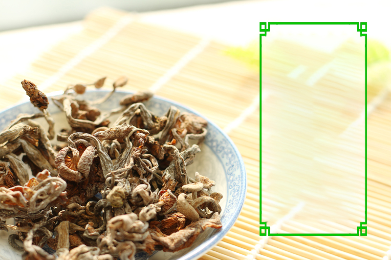 平顶山特产食用菌