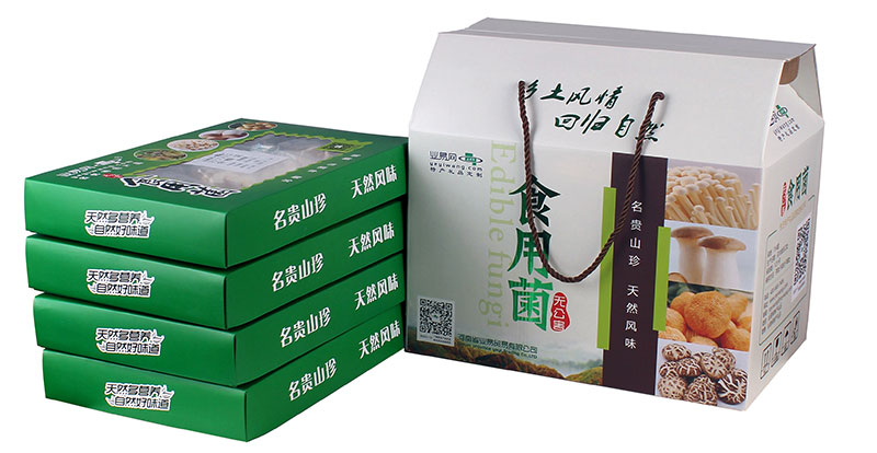 茶树菇