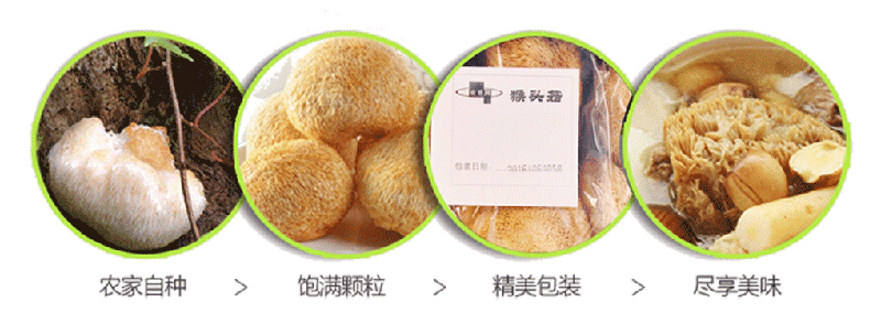 平顶山特产食用菌